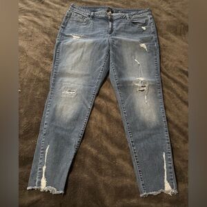 Lane Bryant Skinny Distressed Blue Jeans